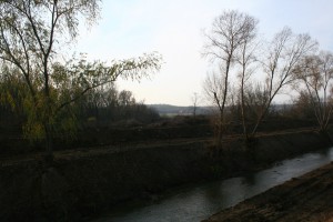 img 4706