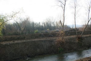 img 4710