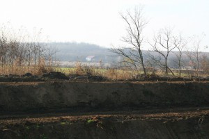 img 4718