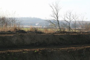 img 4721