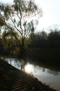 img 4734