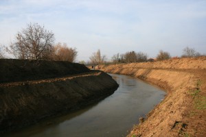 img 4738