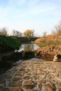 img 4742