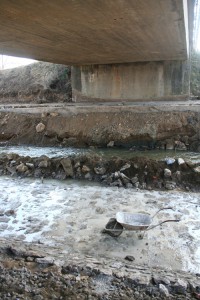 img 4751