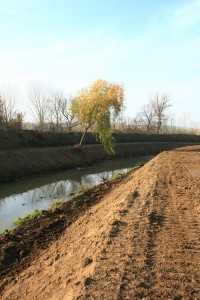 img 4754